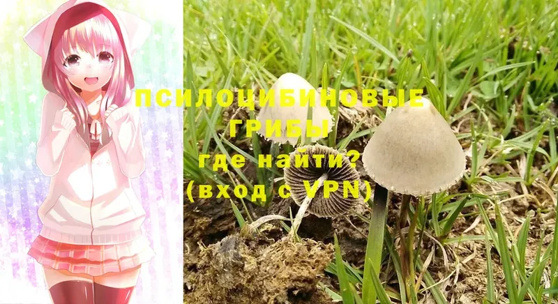 Псилоцибиновые грибы Magic Shrooms  Алушта 